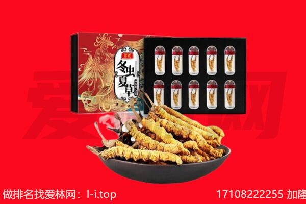 江川区回收虫草.jpg